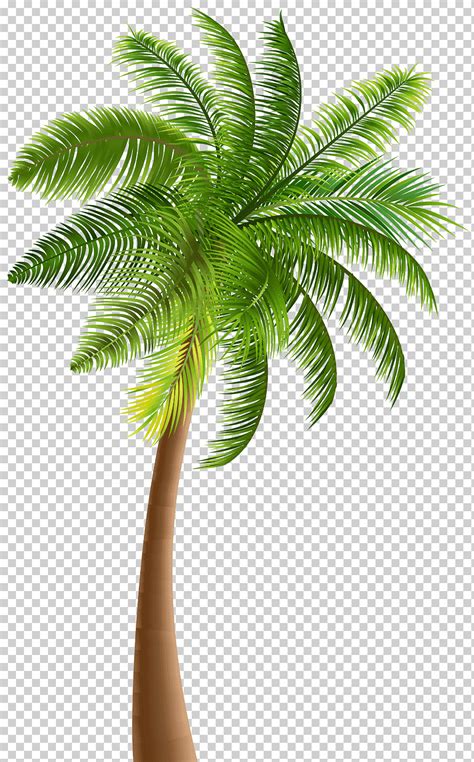 Free Download Illustration Of Palm Tree Palm Trees Palm Leaf