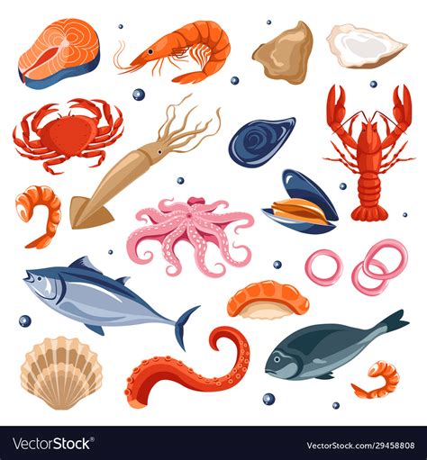 Seafood Menu Fish And Shrimp Lobster And Squid Vector Image