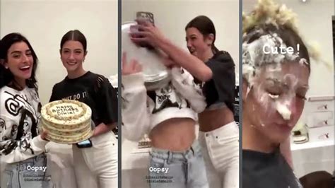 Charli Damelio Throws A Cake In Dixies Face Youtube
