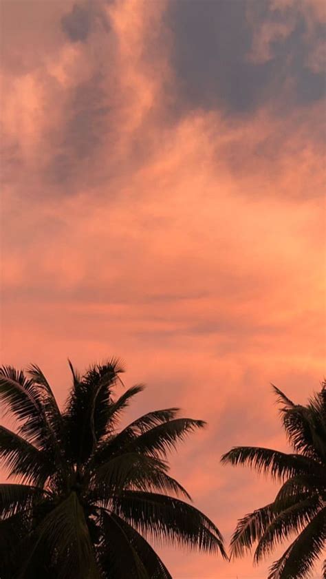 29+ Iphone Aesthetic Sunset Wallpaper Images - Wallpaper Joss