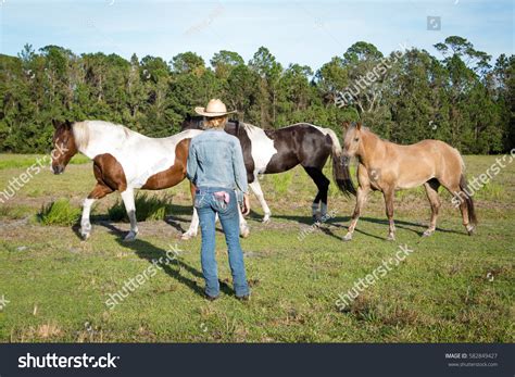 Woman Horses Pasture Wearing Cowboy Hat Stock Photo