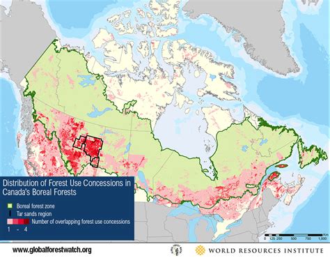 Tar Sands Threaten Worlds Largest Boreal Forest Global Forest Watch