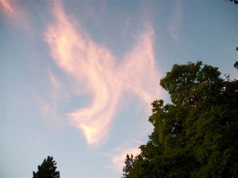 Spokain Washington Angel Clouds Angel Pictures Angel Sightings