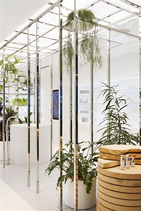 Biophilic And Sustainable Interior Design · Biophilic Design And Social