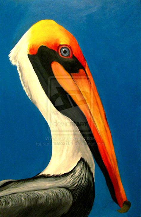 [49+] Pelican Prints Wallpaper on WallpaperSafari