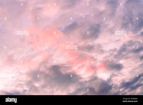 Lilac Blue Sunset Pink Sky Fluffy Clouds On Gold Sunset Summer Tropical