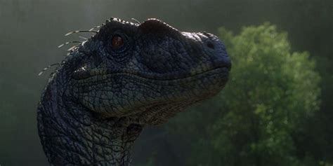 Jurassic Park 10 Things You Didn T Know About Velocir