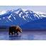 Perfect Alaska Vacations For Every Season  Travel BLAT