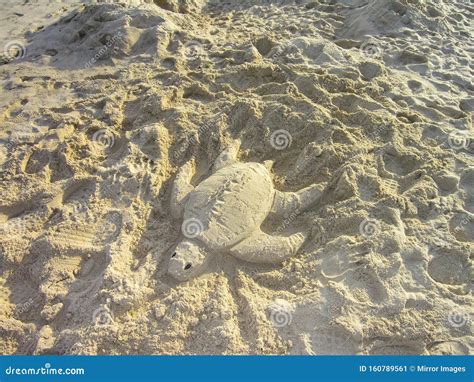 Beach Sand Sculpture Of A Sea Turtle Stock Image Image Of Outdoor