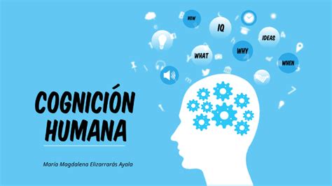 Proceso De La Cognición Humana By Magdalena Elizarraras Ayala On Prezi