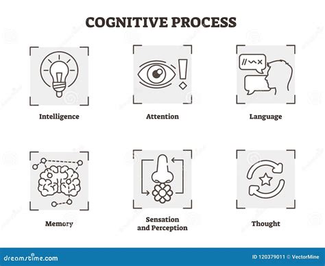 Vector Illustration Set Of Cognitive Process Scheme With Attention