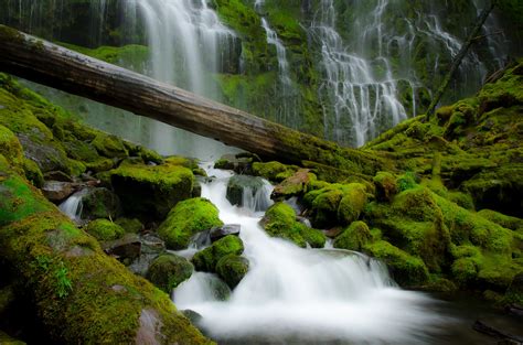 Proxy Falls Oregon Oregon Waterfall Outdoor