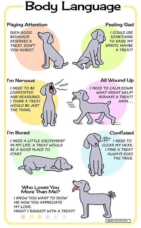 Printable Dog Body Language Chart