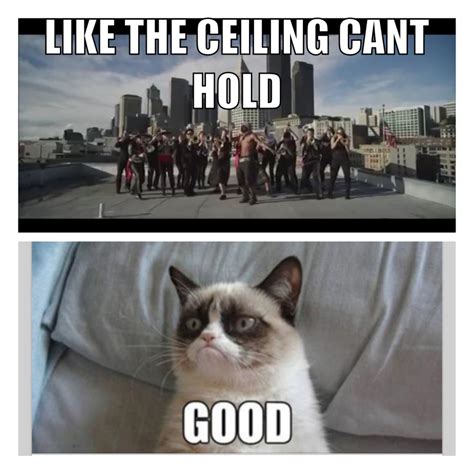 So we put our hands up like the ceiling cant hold us like the ceiling cant hold us can we go back, this is the moment tonight is the night, well fight 'til its over so we put our hands up like the ceiling cant hold us like the ceiling cant hold us. Grumpy cat! Macklemore- like the ceiling can't hold us ...