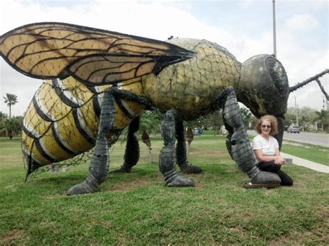 The Worlds Largest Killer Bee Can Be Found In This Texas Town Texas