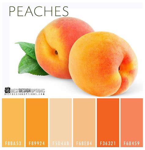 Peaches Color Palette Sweet But Sophisticated The Color Peach Is A