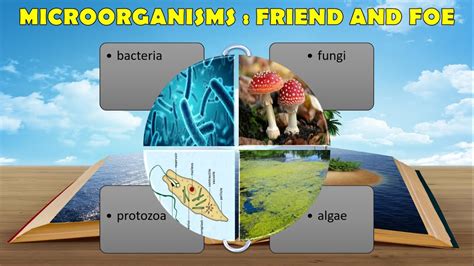 Microorganisms Friend Or Foe Class 8 Science Chapter 2 Animated Video