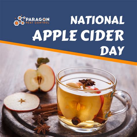 Diy Fruit Fly Solutions For National Apple Cider Day Paragon Pest Control