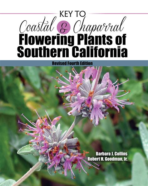 Moonflower vine california native garden southern california lower lights balcony plants echeveria trees to plant yellow flowers garden landscaping. Key to Coastal and Chaparral Flowering Plants of Southern ...