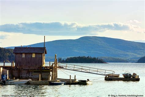 Yellow Island In Winter Harbor From Gouldsboro Maine