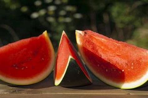 Jerawat merupakan merupakan penyakit yang mempengaruhi kelenjar minyak pada kulit. Jus Buah Peredah Jerawat : 4 Resep Jus Buah Untuk ...