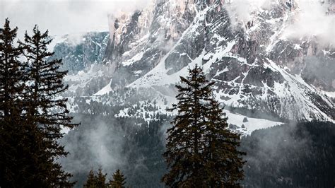 Download Wallpaper 2560x1440 Mountain Peak Clouds Snow Trees
