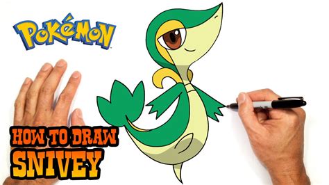 How To Draw Snivy Pokemon Youtube
