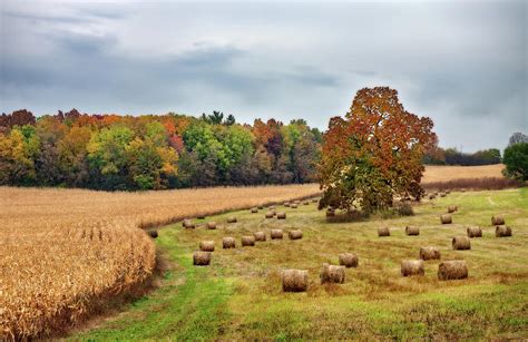 Haying And Harvesting Wisconsin Countryside Autumn Scene Photograph