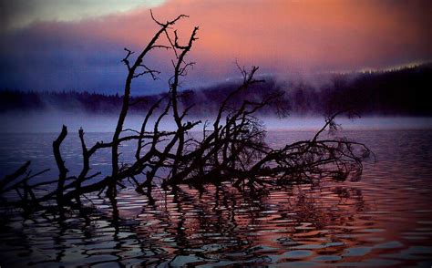 Misty Lake At Sunrise Photograph By Rick Mutaw Pixels