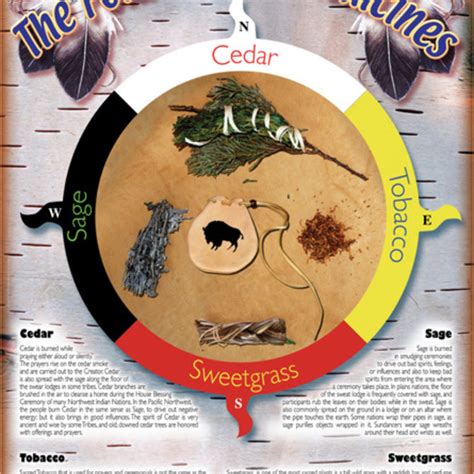 Medicine Wheel Small Inspiring Young Minds To Learn