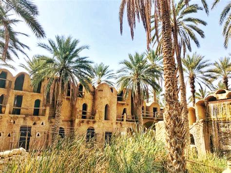 Les 5 Plus Belles Oasis De Tunisie Awesome Guide