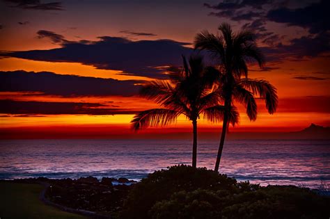 Beautiful photos tropical island nature scenery background wallpapers philippine islands. Free Sunset Tropical Island Wallpaper - WallpaperSafari