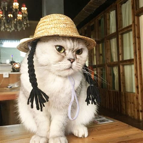 Pet Straw Hat With Braids