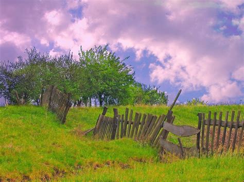 Nuestro Bello Planeta: PAISAJES VERDES