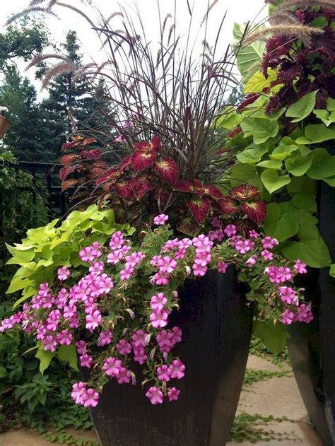40 Fabulous Summer Container Garden Flowers Ideas Container Plants
