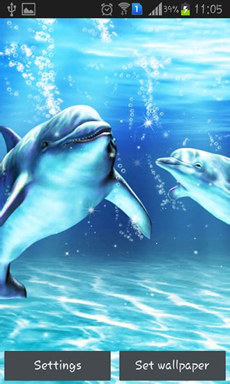 A collection of the top 52 live wallpapers and backgrounds available for download for free. Sea dolphin für Android kostenlos herunterladen. Live ...