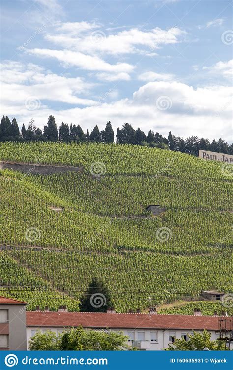 Colline de l'hermitage 0.9 km. View Of The M. Chapoutier Crozes-Hermitage Vineyards In ...