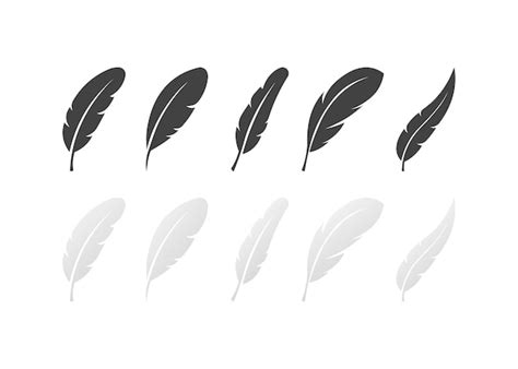 Premium Vector Feather Icons Set Different Styles Collection Of