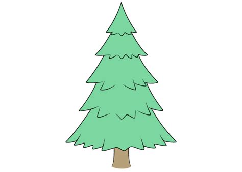 Pine Tree Drawing Easy For Kids Markoyxiana