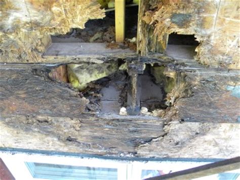 Sounds like the flashing is missing or damaged somehow. some serious damage behind the stucco wall