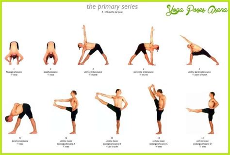 Knowing the few basic rules will give you a little confidence before you. Pin on Yoga Poses 8