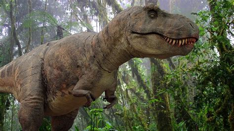 15 Nama Nama Dinosaurus Paling Terkenal Dengan Gambarnya Yupi