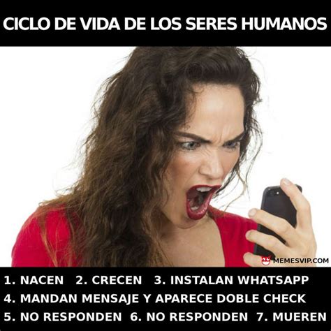 Meme ciclo vital de los seres humanos memes en español Memes en español Memes Memes