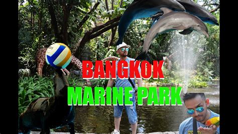Bangkok Marine Park Being Inside Thailand Youtube