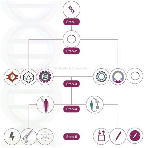 Gene Therapy: Types, Vectors [Viral and Non-Viral], Process