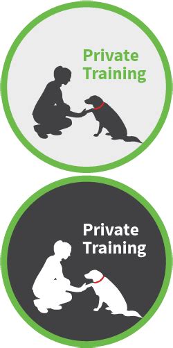 Pp Sprites Services 01 The Persuaded Pooch St Louis Dog Training