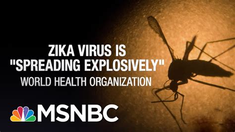 Zika Virus Spreading Explosively Msnbc Youtube