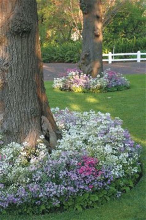 Check spelling or type a new query. 30 best images about Under oak trees on Pinterest | Trees ...