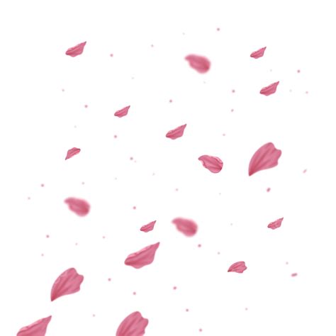 Cherry Blossom Petals Png Image Falling Down Pink Cherry Blossom Petals Petals Blossom Petals