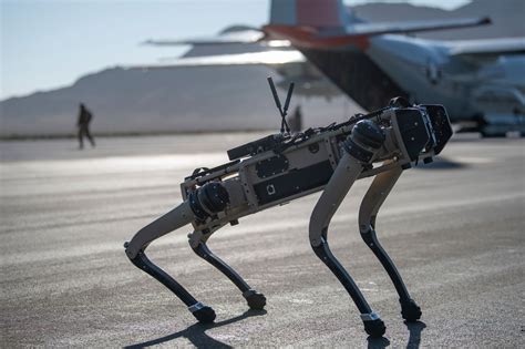Robotic Dogs To Start Patrolling Florida Military Base